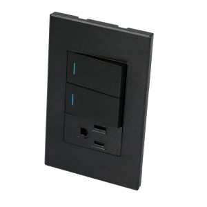 Placa 2 Interruptor 1 contacto 1/3, línea Premium, color negro Surtek P626N